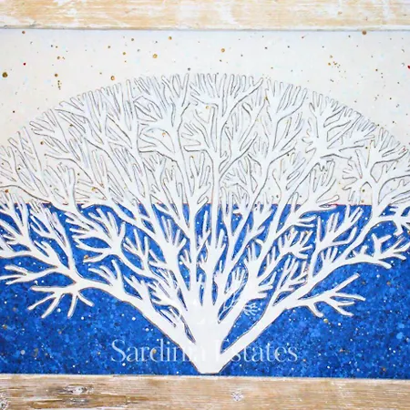 Pieno Centro Con Parcheggio - * パラーウ